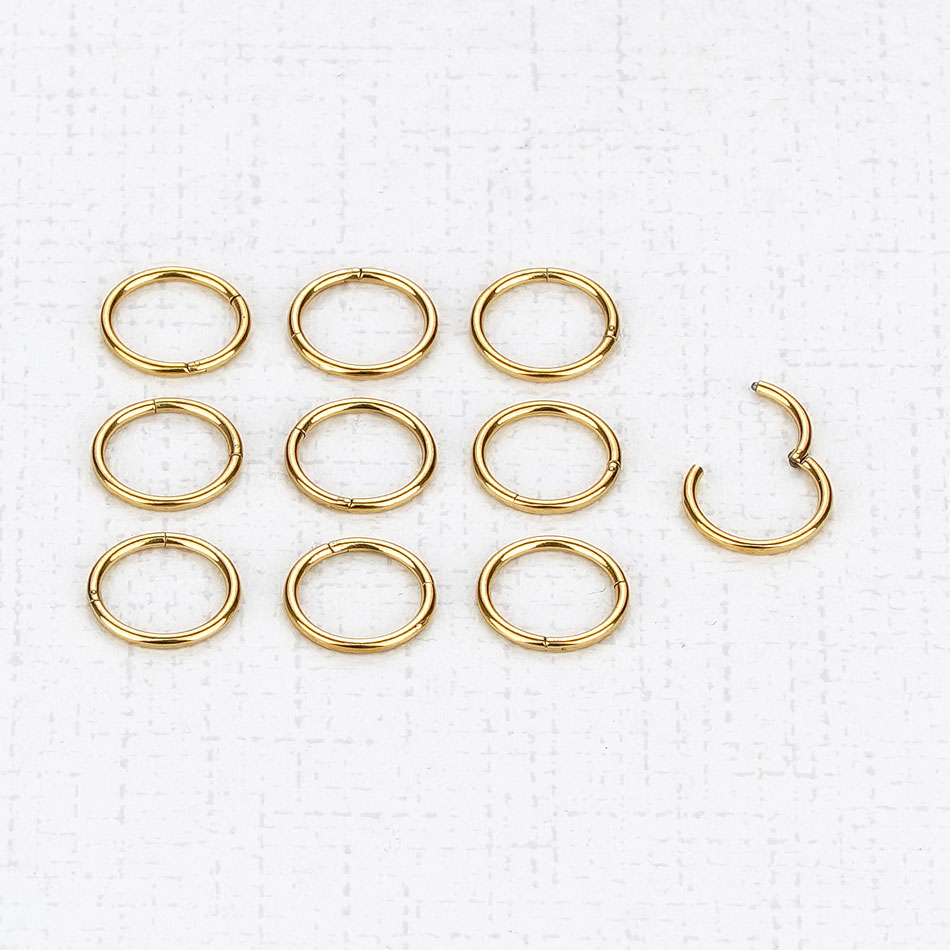 1PC G23 티타늄 힌지 세그먼트 링 코 링 피어싱  - Body Jewelry Nipple Rings 리뷰 및 가격